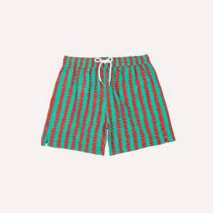 Kelim Stripe Print Nylon Drawstring Swim Shorts